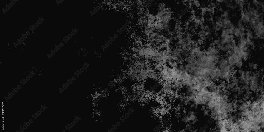 Fototapeta premium Abstract White and black grunge background for cement floor texture design. Old and grainy white or grey grunge texture.