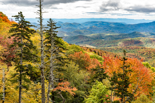 Fall along the Blue Ridge Parkway in NC 2023 photo