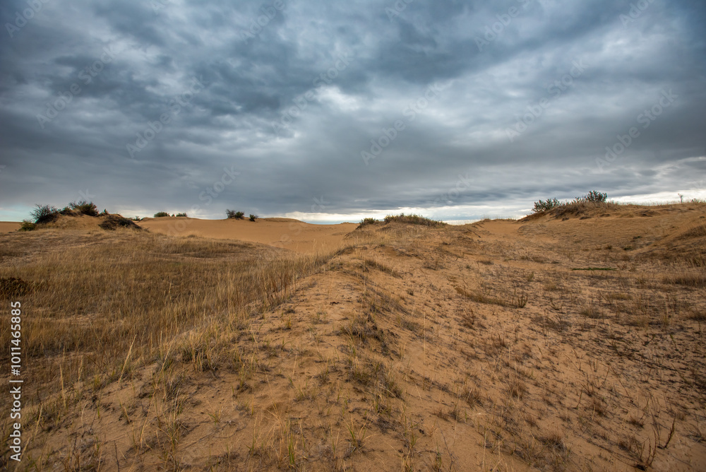 Saskatchewan sand dunes in autumn Saskatchewan sand dunes in autumn