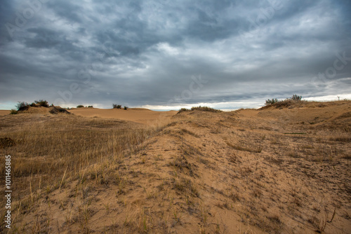 Fototapeta Naklejka Na Ścianę i Meble -  Saskatchewan sand dunes in autumn