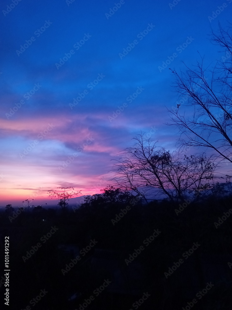 The beauty of nature accompanied by the sunlight in the early morning.