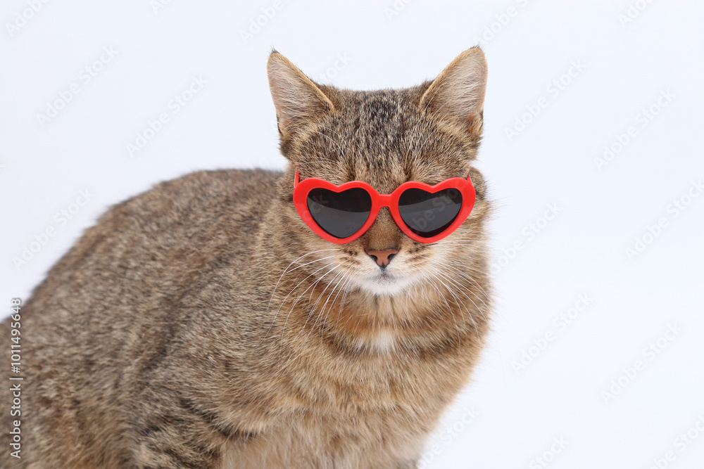 Cat with red heart shaped sunglasses on white background. Surprised Cat looks at the camera. Holiday concept. Valentine's Day. Cat in love. Copy space. Cute fluffy Kitten. Animal background. Cat with red heart shaped sunglasses on white background. Surprised Cat looks at the camera. Holiday concept. Valentine's Day. Cat in love. Copy space. Cute fluffy Kitten. Animal background.
