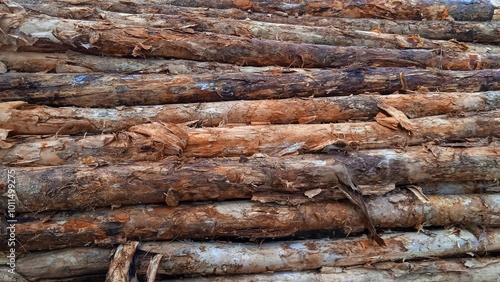 Cut tree trunks piled up at sawmill, carpentry material