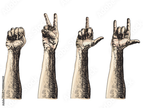  different types signs hands fight rock gesture linear realistic colored illustration on white background
