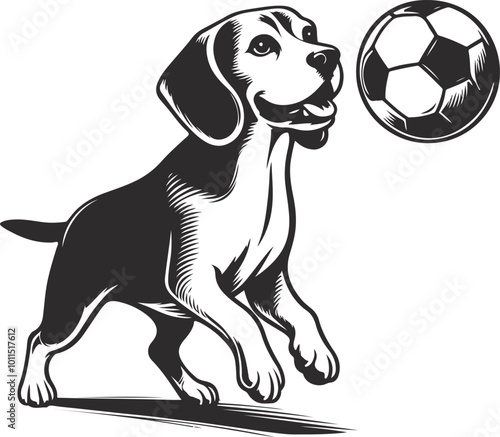 dog football