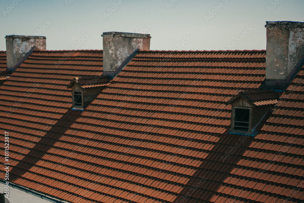 Fototapeta premium roof tiles and roof