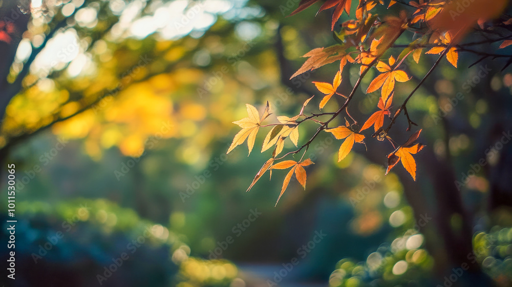 Autumn leaves bathed in golden sunlight highlight a tranquil pathway in a serene landscape during the fall season Autumn leaves bathed in golden sunlight highlight a tranquil pathway in a serene landscape during the fall season