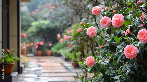 Feng Shui Outdoor Haven with Camellias, a serene space promoting health and happiness through harmonious design and vibrant flora