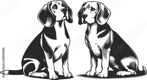 Beagle Dog Vector isolated on a white background, Dog Silhouettes