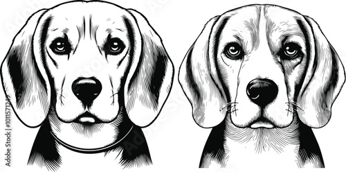 Beagle Dog Vector isolated on white background, Dog Silhouettes