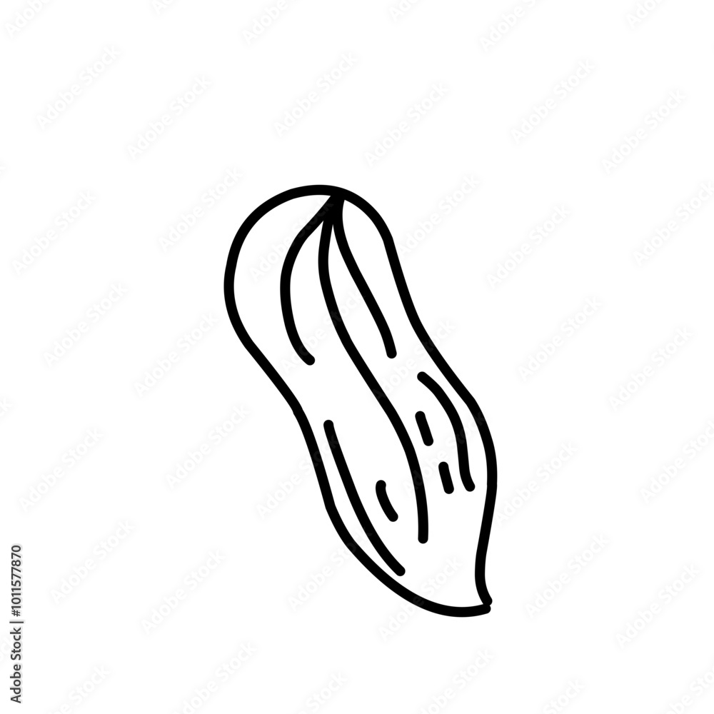 Nuts And Seeds Outline Style Nuts And Seeds Outline Style