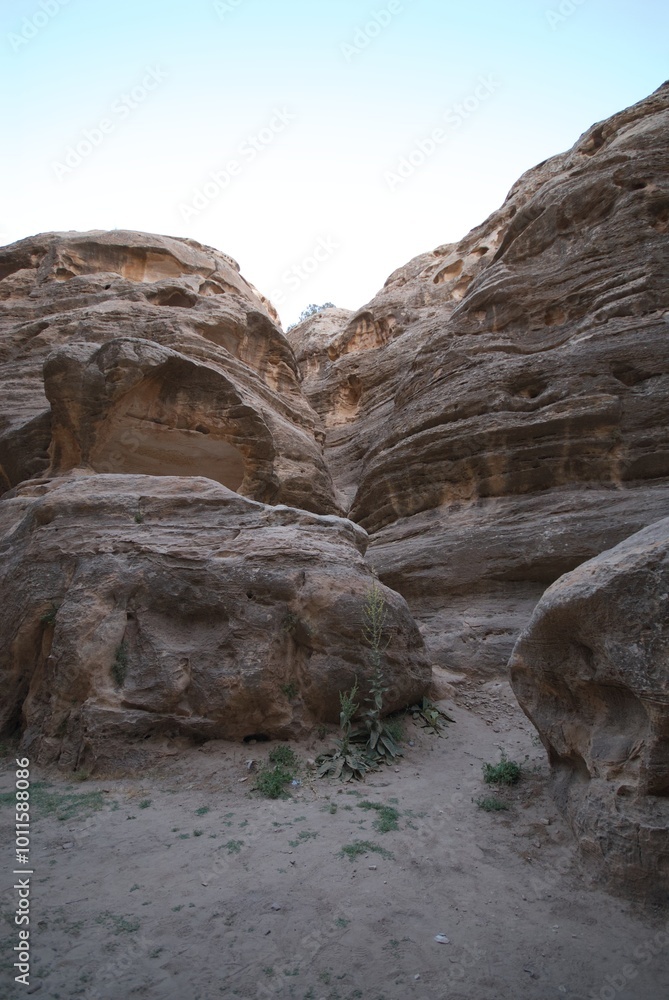 Fototapeta premium Petra, Jordan
