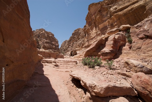 Wallpaper Mural Petra, Jordan Torontodigital.ca