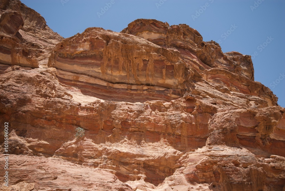 Fototapeta premium Petra, Jordan
