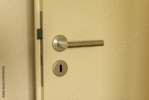 Close-up of a Modern Door H...