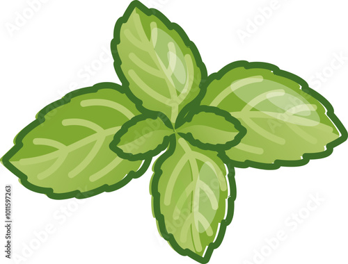 Illustration of fresh basil leaves symbolizing freshness and culinary use.