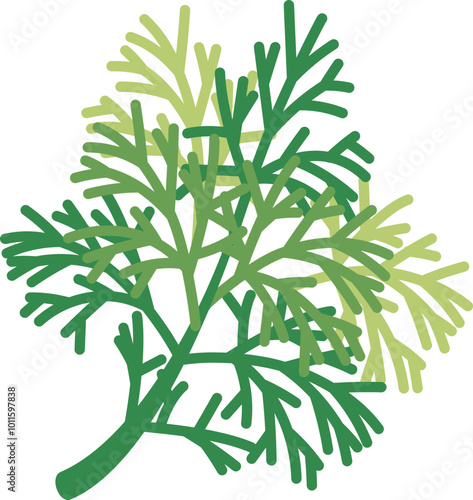 Illustration of fresh dill herb, symbolizing culinary use and natural flavor.