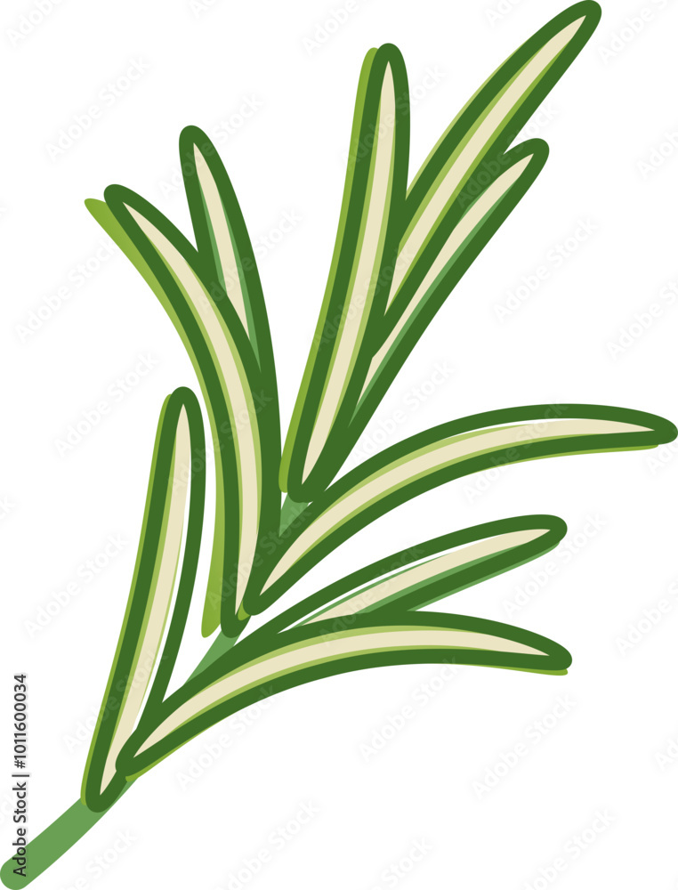 Illustration of rosemary sprigs symbolizing freshness and culinary use. Illustration of rosemary sprigs symbolizing freshness and culinary use.
