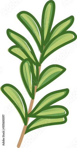 Illustration of a savory herb sprig, symbolizing flavor and culinary use.