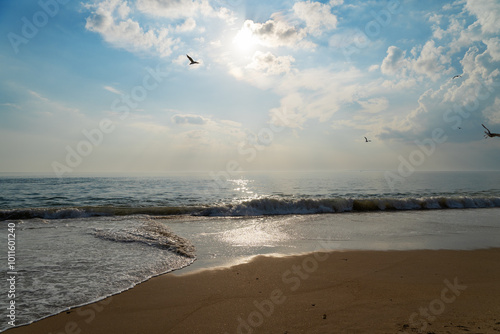 Coucher de soleil à la barre d'Étel, avec des reflets dorés sur l'eau, des nuages blancs et des mouettes dans le ciel. Le sable doré ajoute à la sérénité de cette scène paisible.