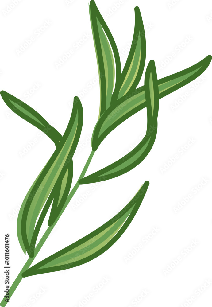 Illustration of fresh tarragon leaves symbolizing culinary herbs. Illustration of fresh tarragon leaves symbolizing culinary herbs.