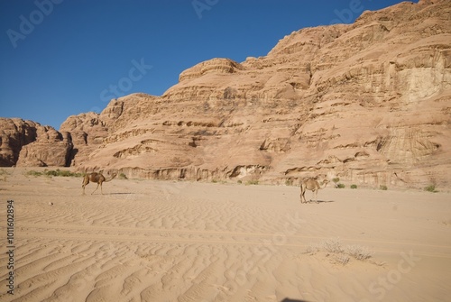 Wadi Rum desert in Jordan.