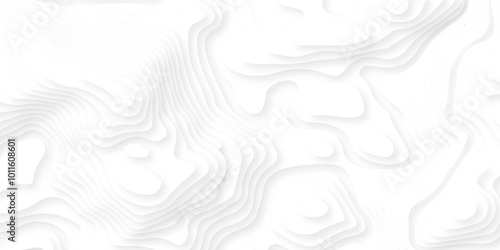 Abstract wavy line 3d paper cut white background. Seamless pattern with lines Topographic map.