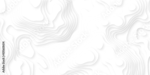 Abstract wavy line 3d paper cut white background. Seamless pattern with lines Topographic map.