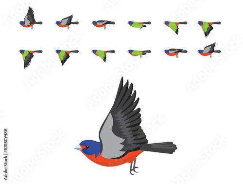 Painted Bunting Bird Flying Animation Sequence Cartoon Vector