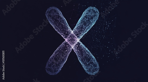 A simple, geometric drawing of an "X" chromosome.low poly wireframe.