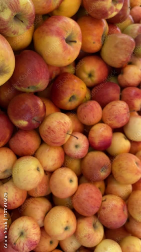 Beautiful Closeup Top View of Apples Fruit Beautiful Closeup Top View of Apples Fruit