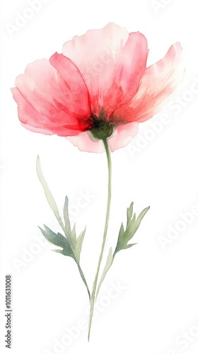 Watercolor Flower on Ultra White Background, Impressionist Flat Simple Art Generative AI