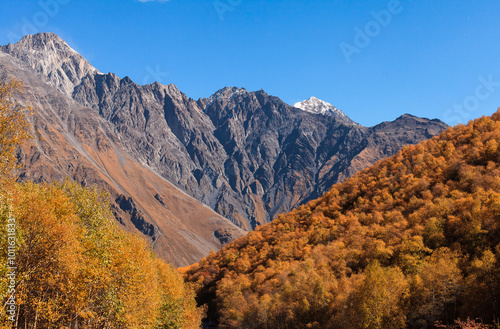 a panoramic view of autumn landscape with mountain hills surrounded by trees with yellow and red foliage at kazbegi stepantsminda in georgia near the foot of mount kazbek