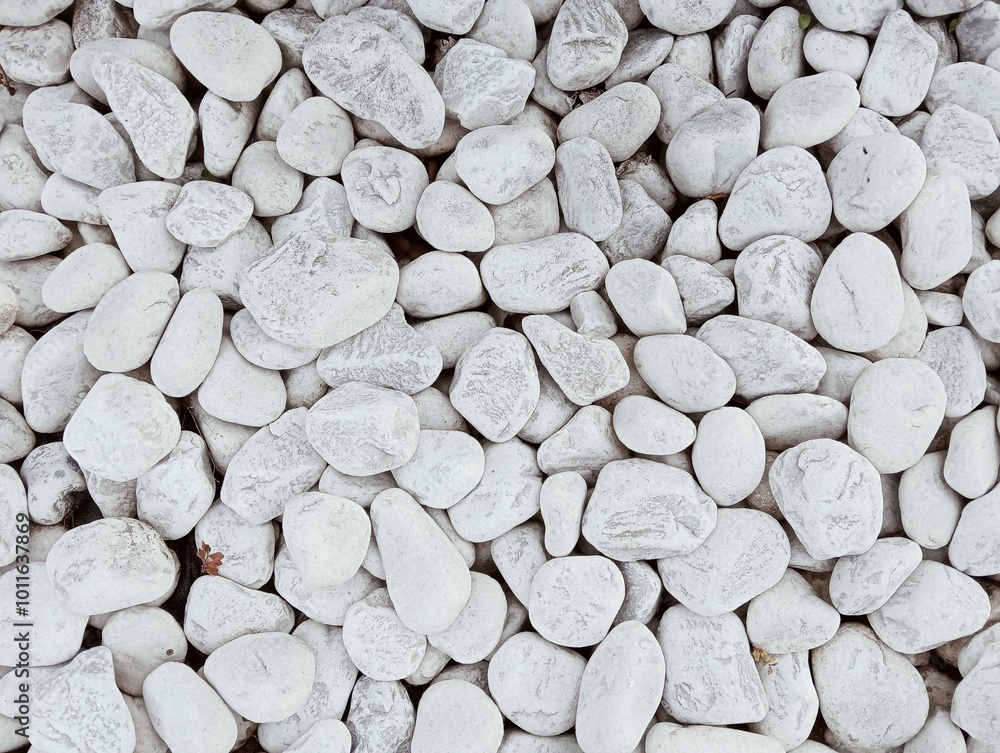 white stones background or texture