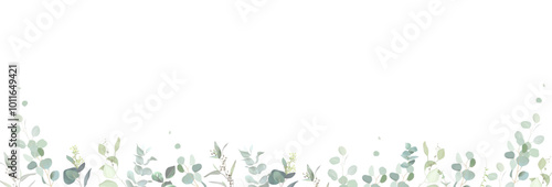 Herbal eucalyptus selection vector frame. Hand painted branches, leaves on white background. Greenery wedding simple minimalist invitation. Watercolor style card. Elements are isolated and editable