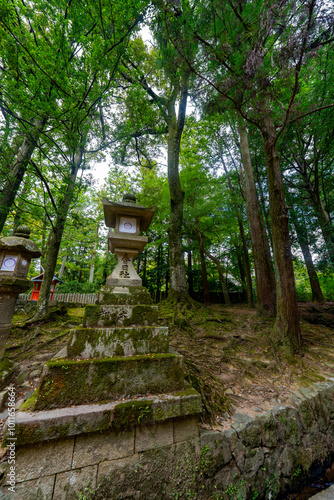 奈良県 奈良公園の風景