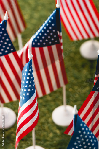 American flags stand proudly in the grass, symbolizing unity and remembrance on memorial day.