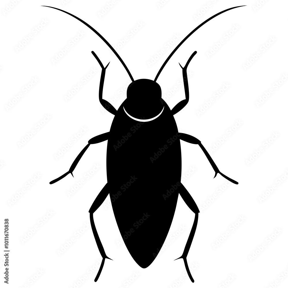 beetle isolated on white background beetle isolated on white background