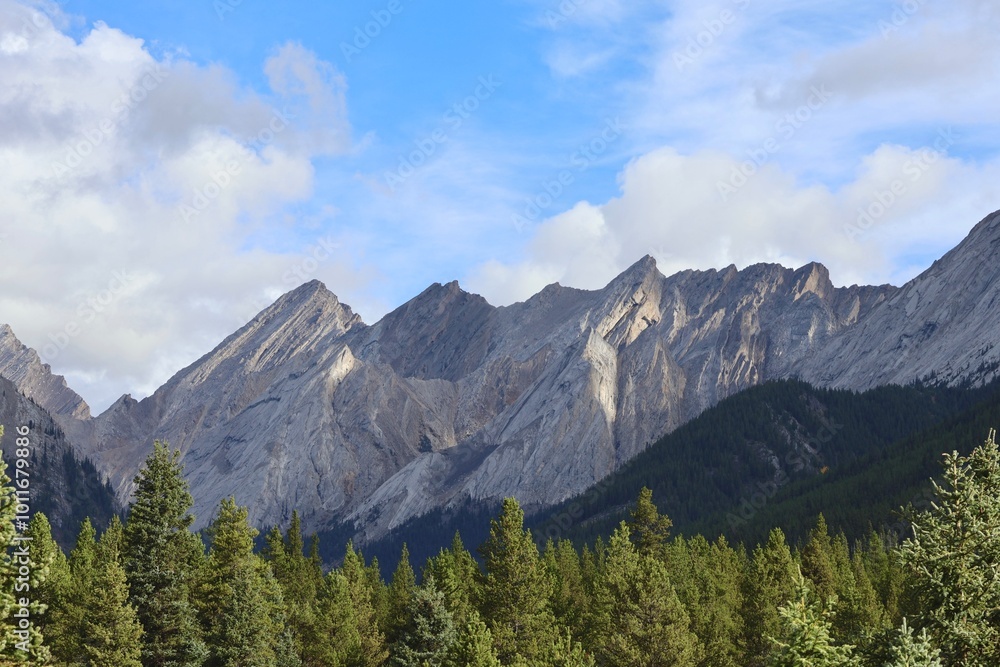 A majestic mountain range dominates the horizon, its peaks towering over a dense forest of evergreen trees. The sky is a brilliant blue, dotted with fluffy white clouds. A majestic mountain range dominates the horizon, its peaks towering over a dense forest of evergreen trees. The sky is a brilliant blue, dotted with fluffy white clouds.