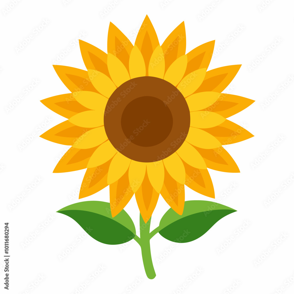 sunflower sunflower