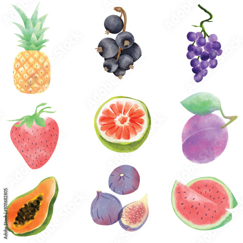 Watercolor Fruits, pineapple, Fig, Strawberry, Watermelon,  Papaya, Grapes isolated on White background