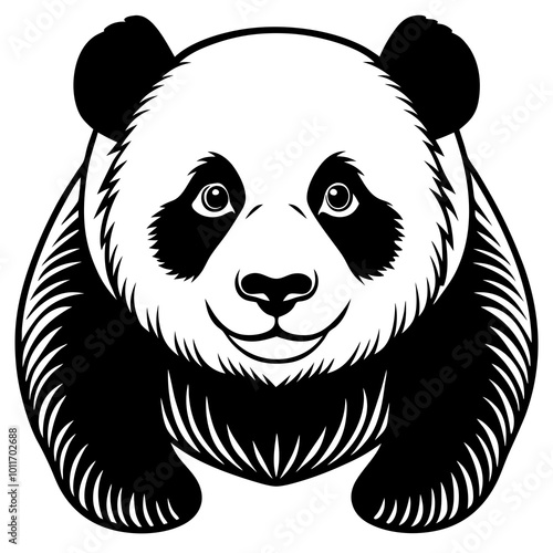 panda bear illustration