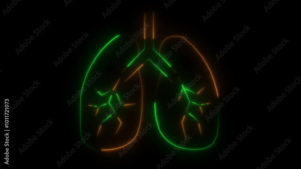 The appearance of the neon glowing symbol lungs. neon human Lung and kidney icon animation. Glowing neon line lungs icon isolated on black background. The appearance of the neon glowing symbol lungs. neon human Lung and kidney icon animation. Glowing neon line lungs icon isolated on black background.