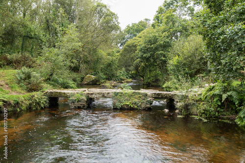 Le vieux pont en pierre, encadré par une végétation luxuriante, surplombe une rivière dont le fond marron ajoute une profondeur intéressante à ce paysage naturel. photo