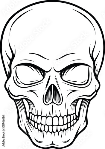 Halloween skull line art vector icon, illustration on hand drawn style.