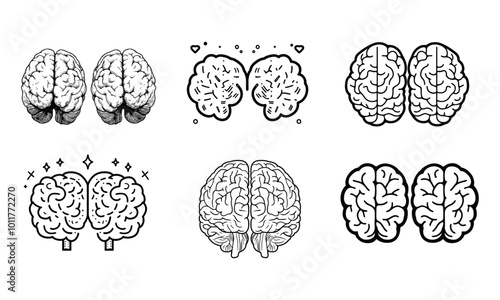 A diagram of a brain from the top side front and back in outline
