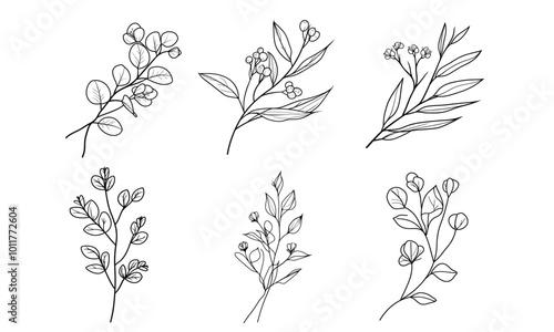 Set of floral branch and minimalist flowers for logo or tattoo. Hand drawn wild field flora, line wedding herb, elegant leaves for invitation, save the date card.
