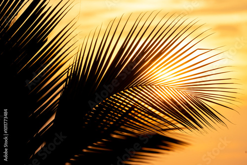 beautiful palm tree silhouette tropical vibes nature sun golden hour nature 