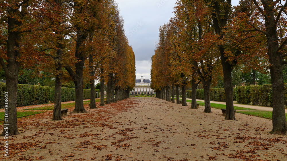 Naklejka premium Morgenstimmung im Herbst, Schloss und Park Pillnitz an der Elbe bei Dresden, Sachsen, Deutschland 