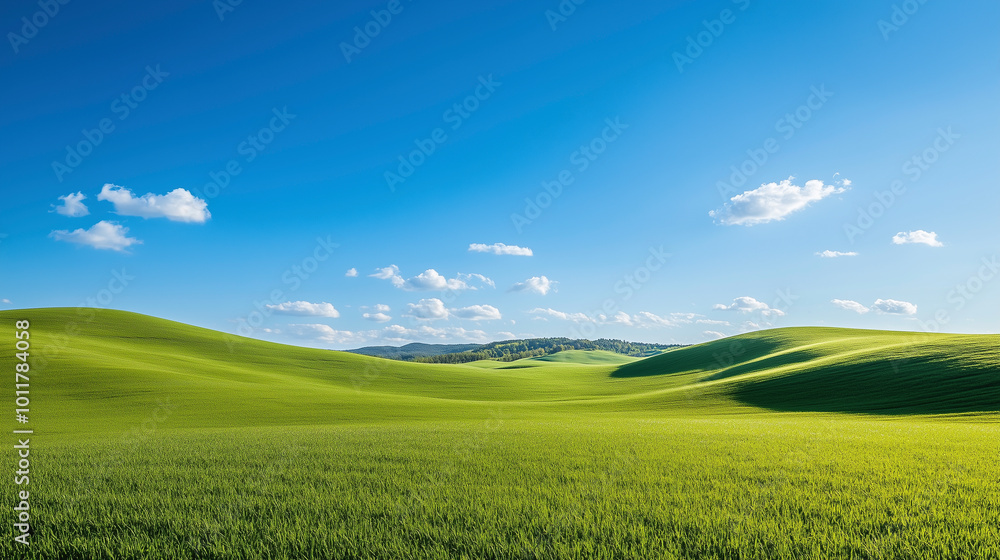 Fototapeta premium Vast Green Rolling Hills under Bright Blue Sky with Scattered White Clouds on a Sunny Day